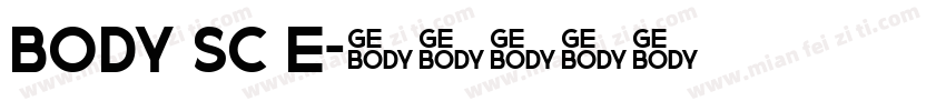 BODY SC E字体转换